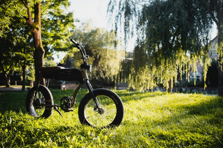 a moped parked in a park beside some trees