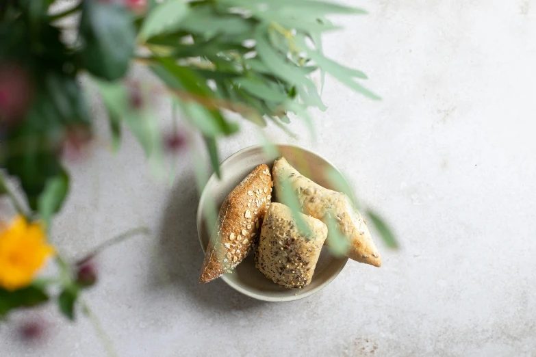 three crumbs in small dish next to plant and flowers