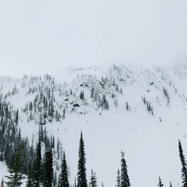 a view of snow covered mountains in the middle of winter