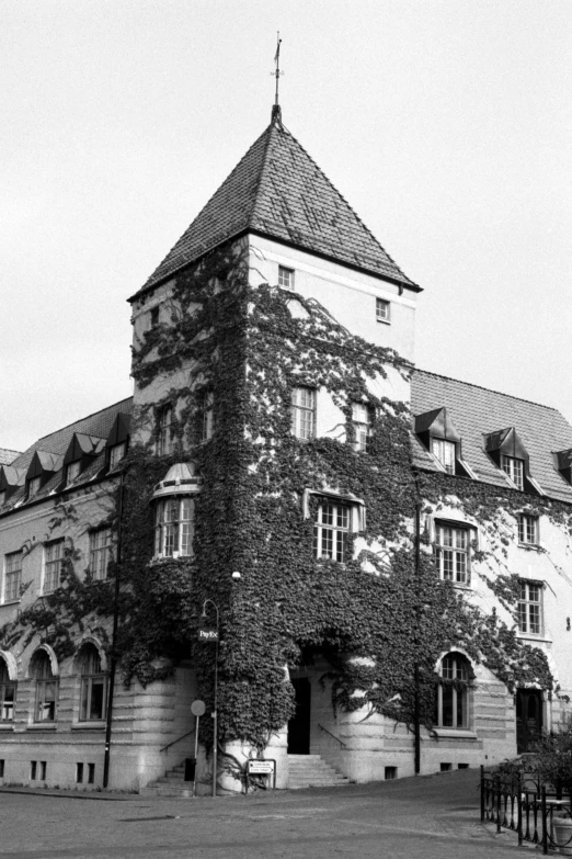 a tall brick building with many windows and ivy on the roof