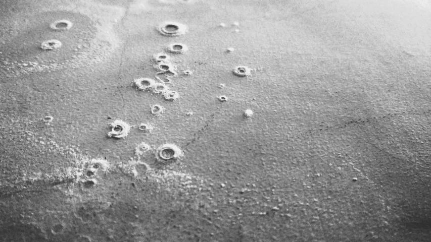 many tiny bubbles of water on a beach