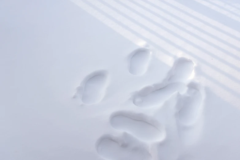 two footprints are on the snow near shadows