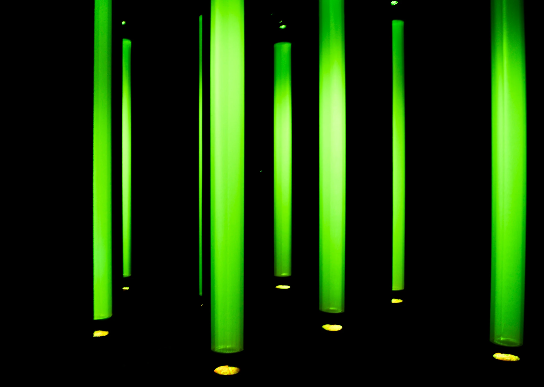 a group of bright green poles next to each other
