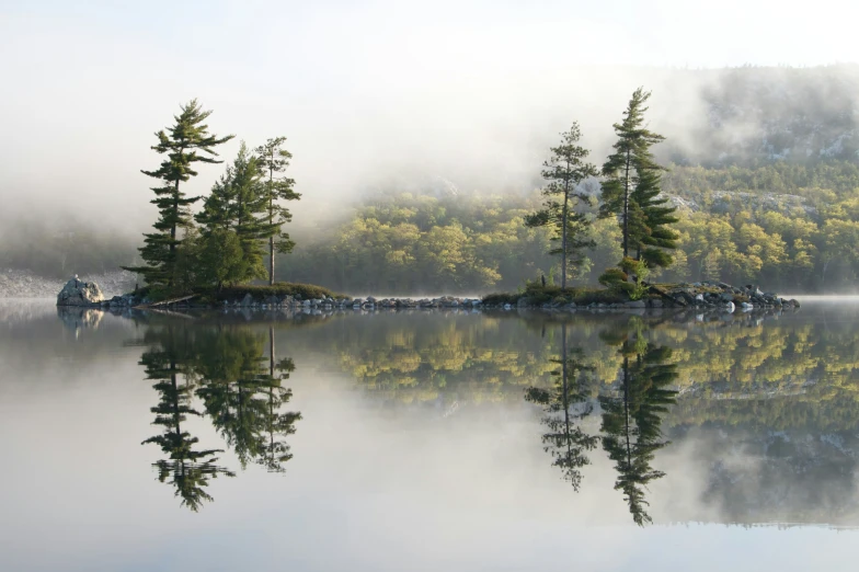 trees and mountains with fog reflecting in the water