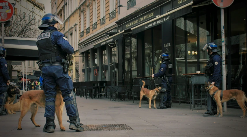 police officers with their dogs stand in front of a bank