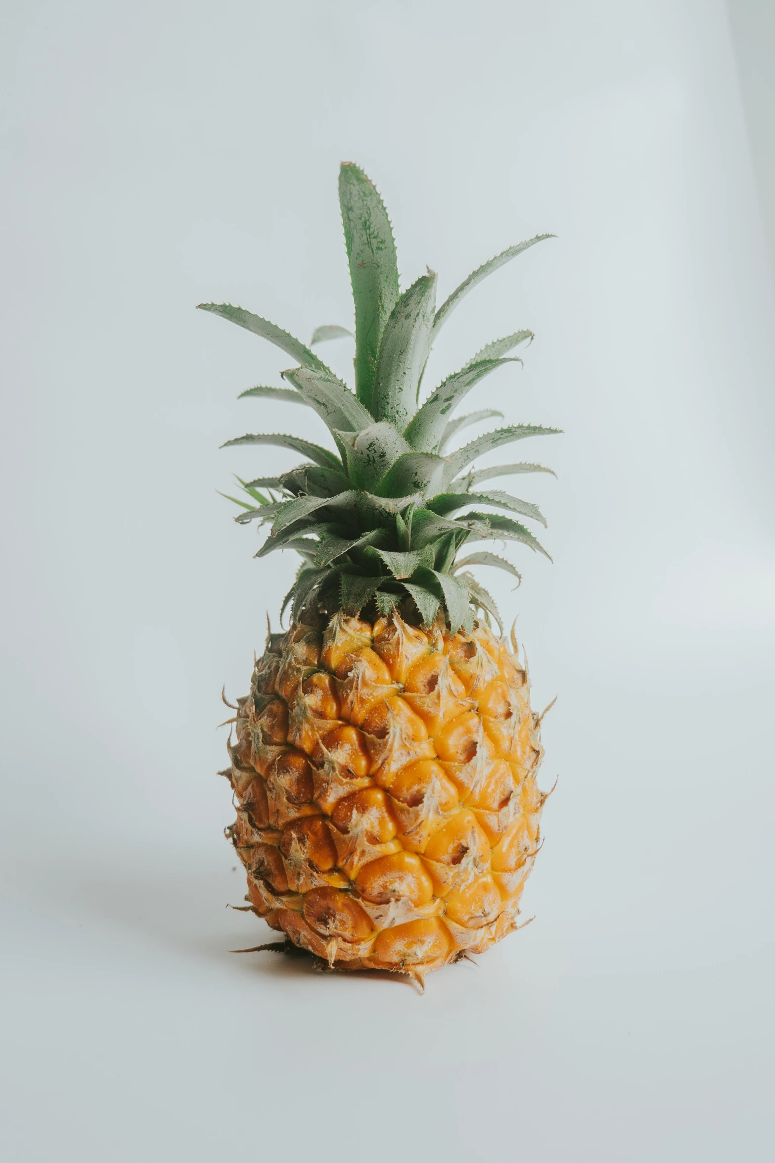 a closeup of a pineapple on a white background