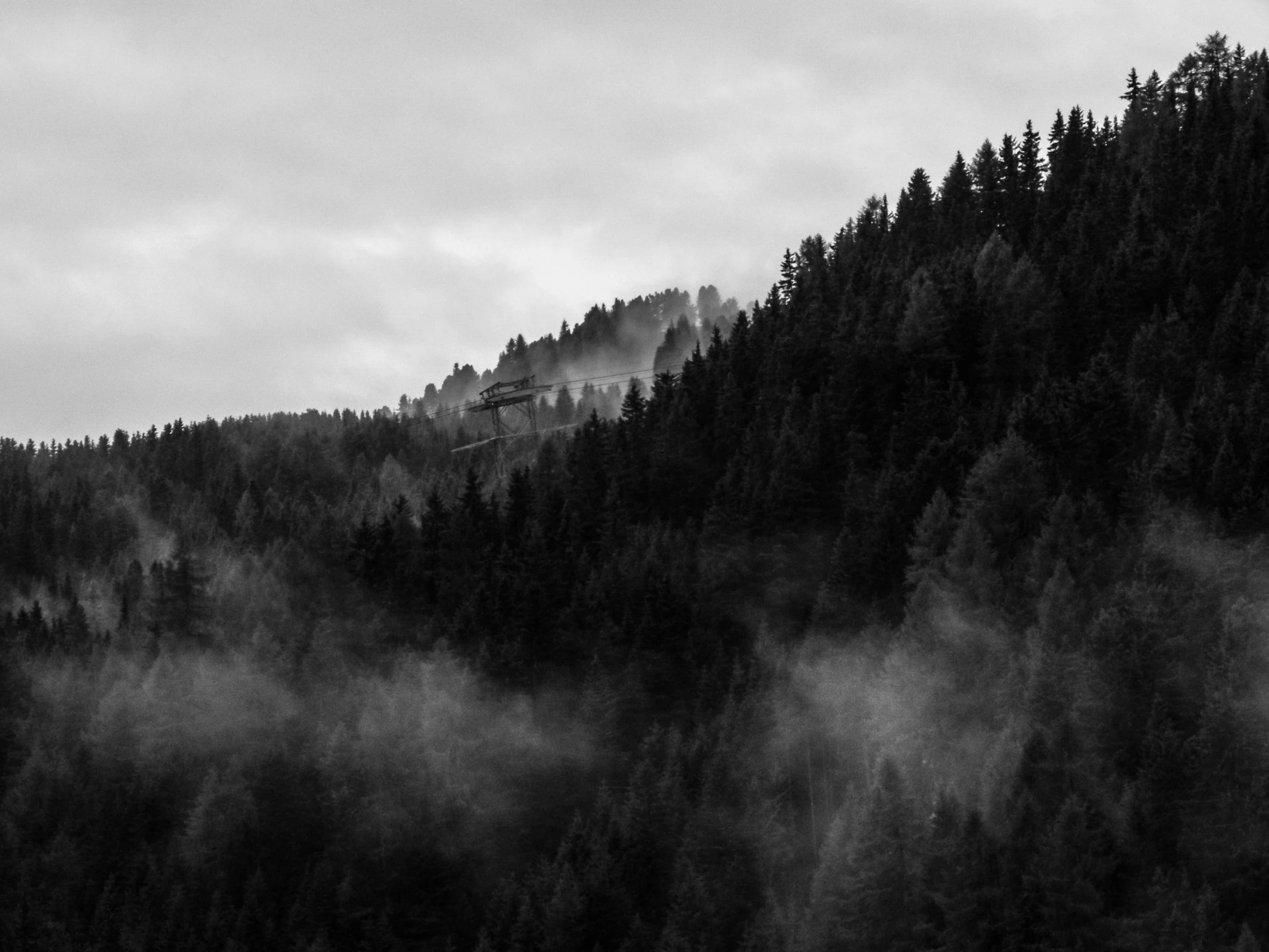 a misty mountain in the distance with a forest