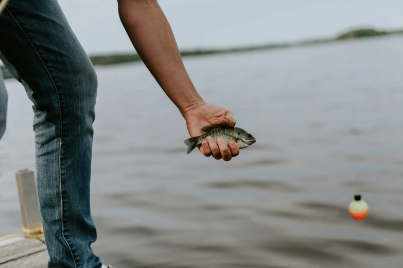 a person standing near the water holding a fish