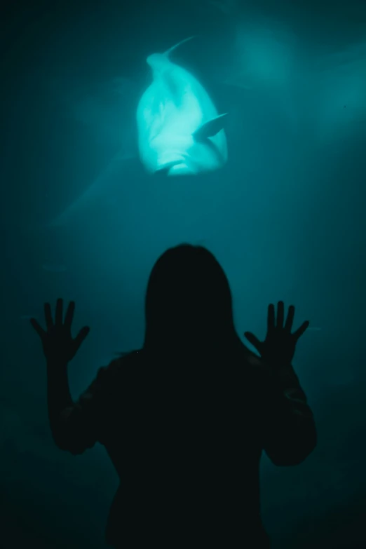 a person who is silhouetted against a shadow in the water