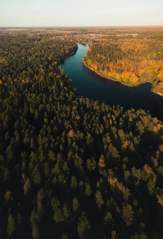 a bird's eye view of a river and trees