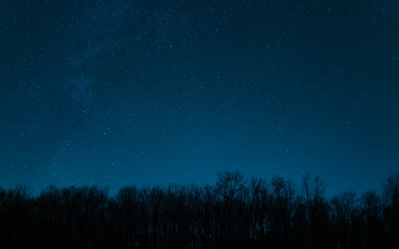 a clear night sky with stars and lines of trees