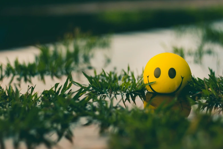 a small ball with smiley faces sitting on top of some leaves