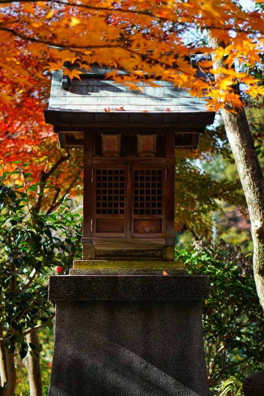 a wooden and stone shrine stands near fall trees