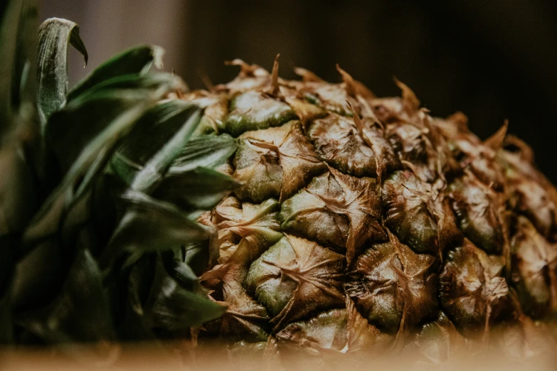 the pineapple looks rotten but still has fresh fruit on it