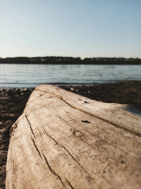an old log is laying on the shore of a body of water