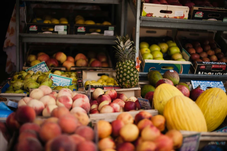 fruit sits out in a display area next to bins