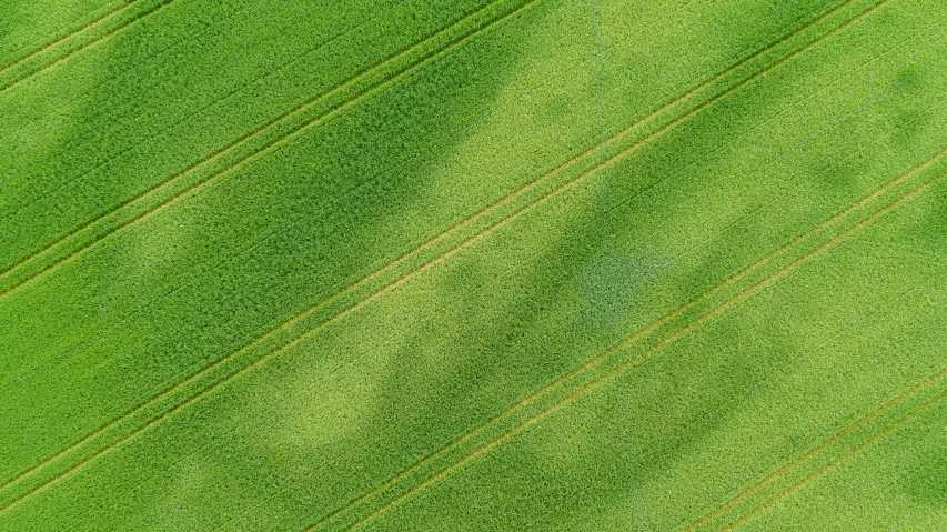 a green field with stripes and lines that resemble the grass