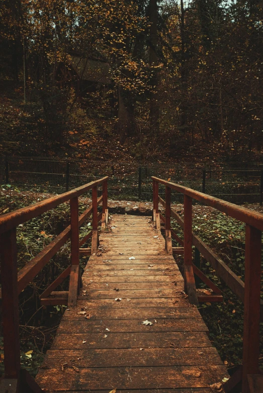 a wooden walkway bridge crossing a river in the woods