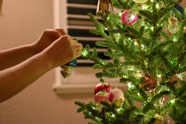 person decorating a green tree with lights