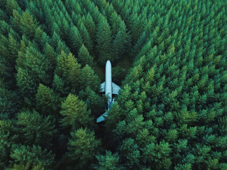 an airplane is flying in the air over a tree - lined area