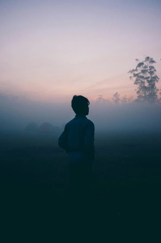 silhouette po of person standing in fog with trees on horizon