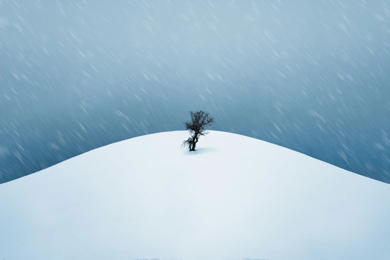 a lone tree on a snow covered hill in the middle of the night