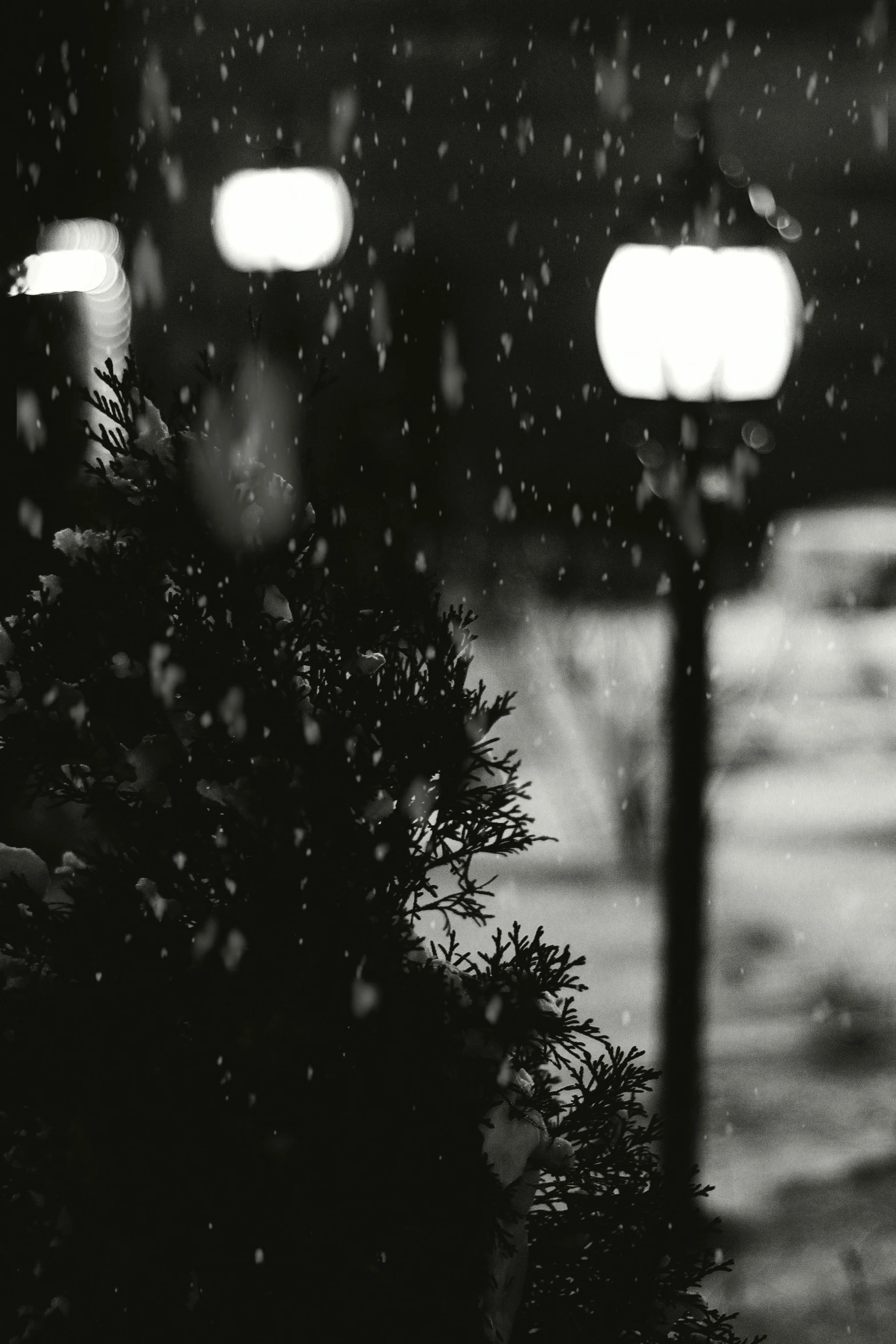 a street light in the rain at night