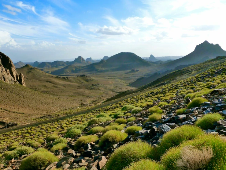 this is an image of a green hills and rocks