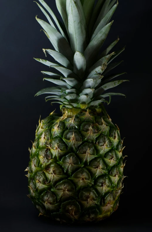 a pineapple is seen with the fruits still attached