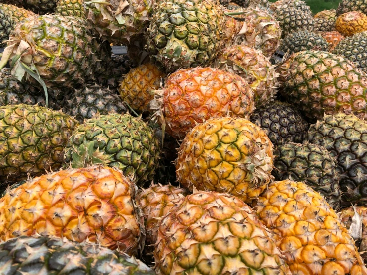 many pineapples that are stacked up together