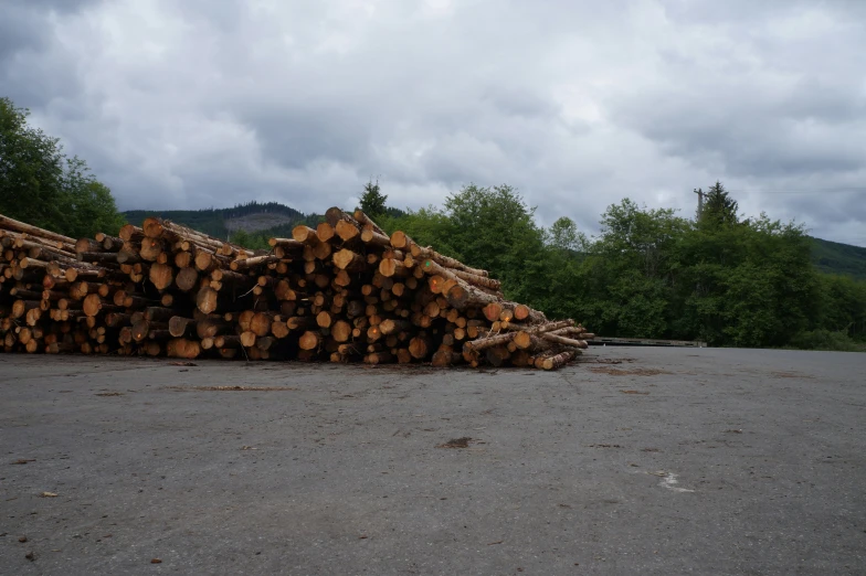 piles of wood on the ground with cloudy sky in background