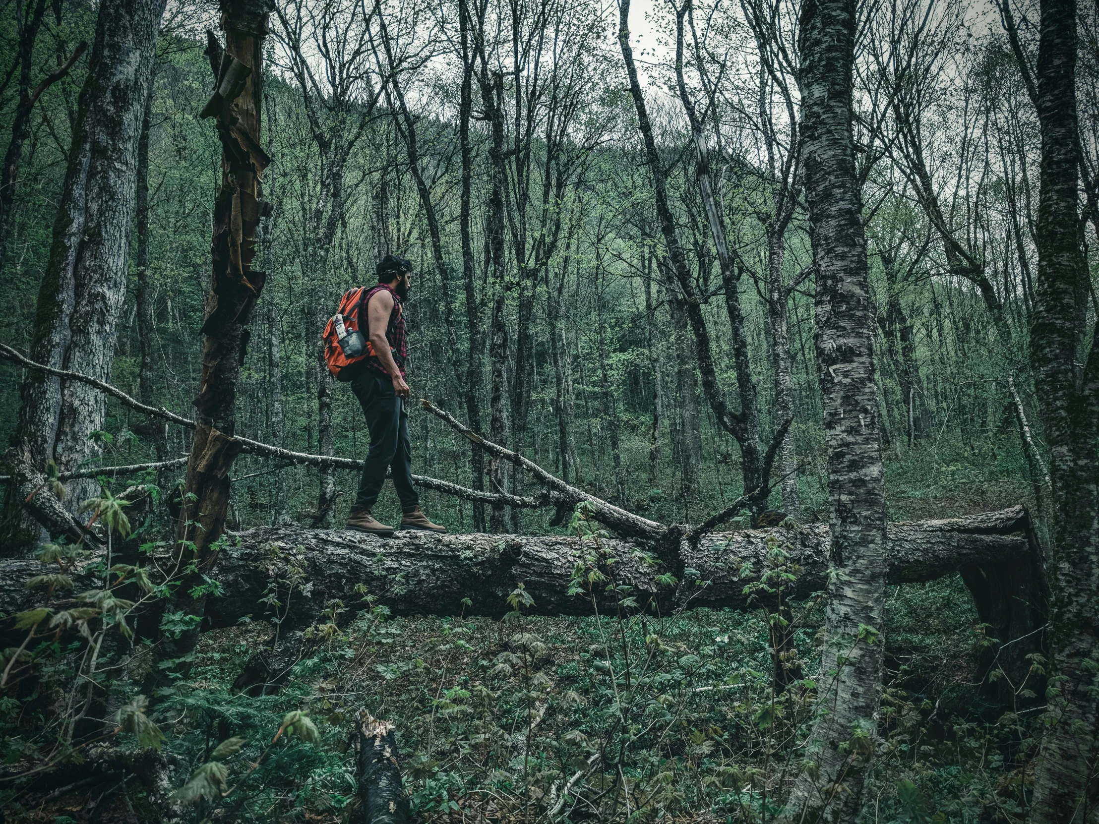 man standing on a fallen tree in the forest