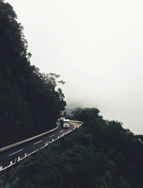 the road passes through the dense forests in the fog