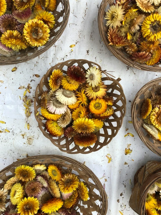 six baskets with dried sunflowers inside of them