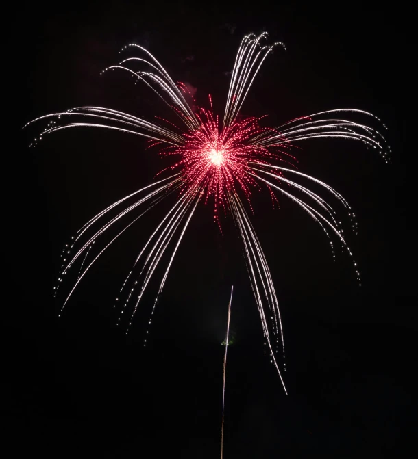 a firework is lit up with dazzling lights