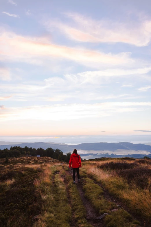 a man walks in a field with an ocean view