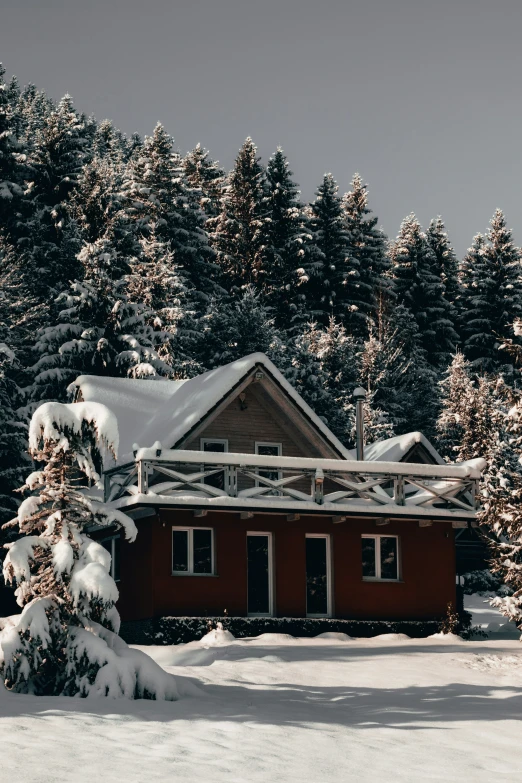 a red house in front of the forest with snow on it