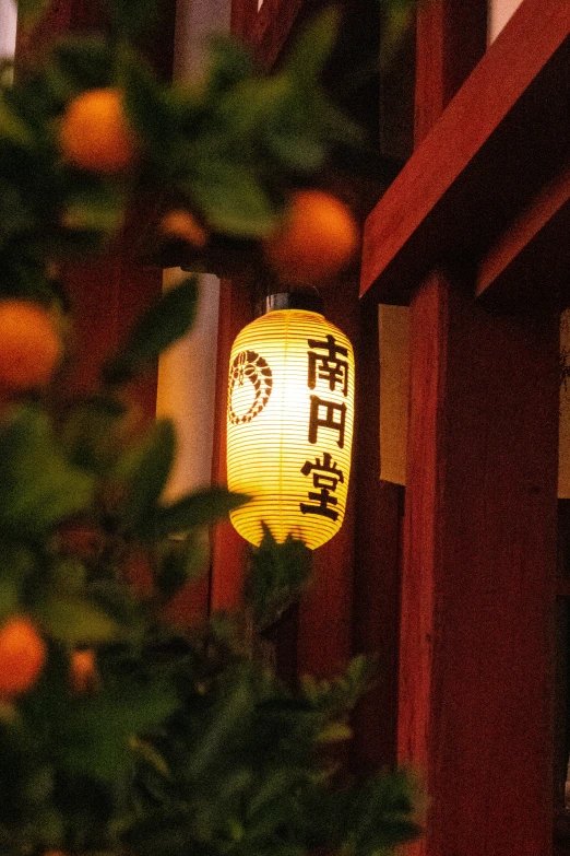 a close up of some lights with oranges in the background