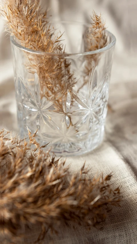 an almost empty glass cup is pictured with dried plants