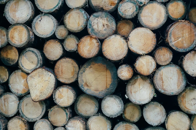 a pile of wood that is stacked on top of each other