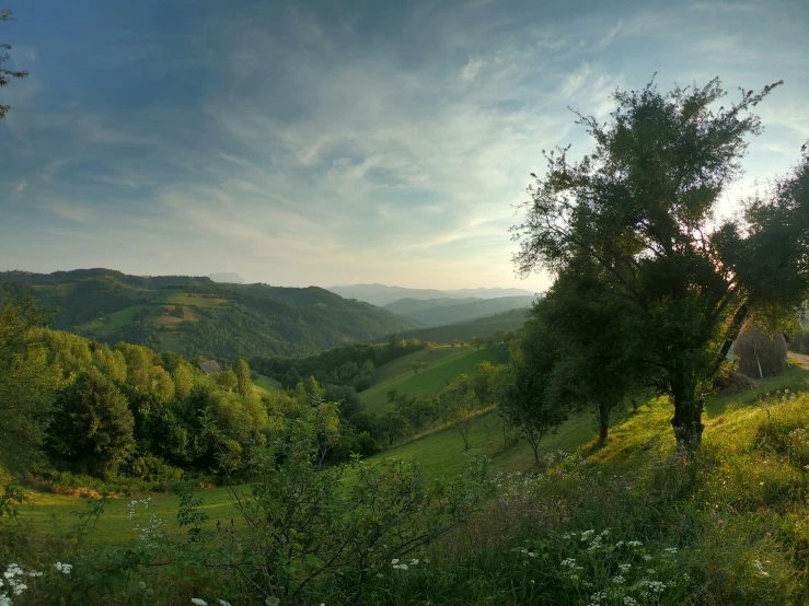 a large field and some trees with mountains