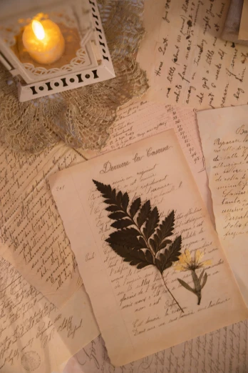 an arrangement of old writing and pressed paper with flowers and leaves