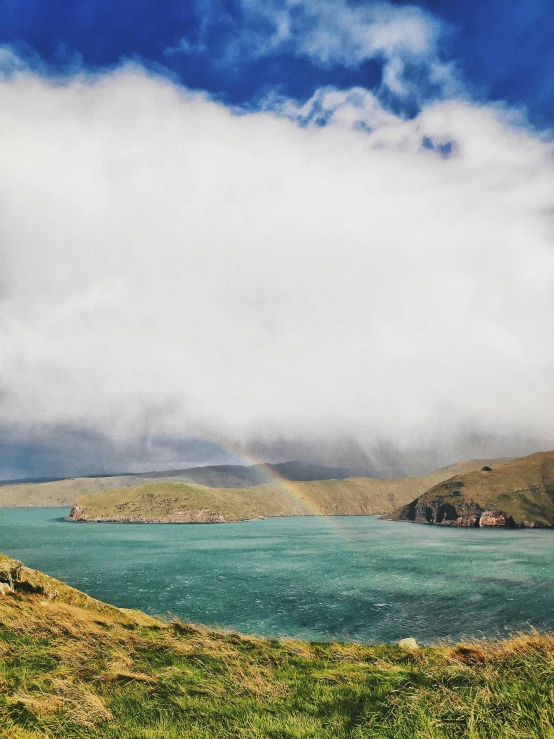 sheep grazing in grass next to the water and a cloudy sky