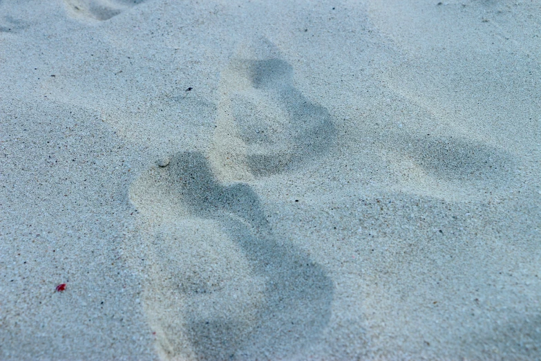 the feet and soles of a person are on the beach sand