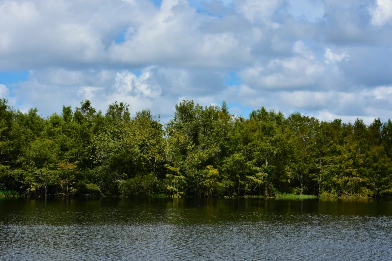 an image of the lake or river in the day