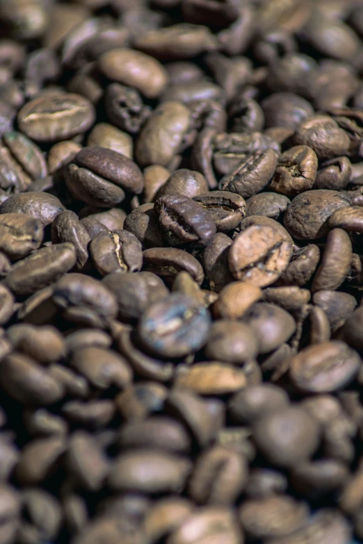 there is some dark colored coffee beans together