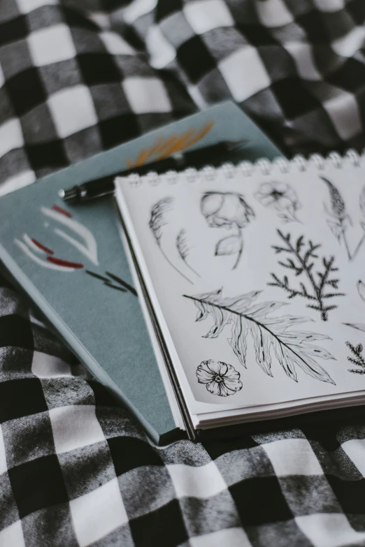 two notebooks sitting next to each other on a checkered cloth