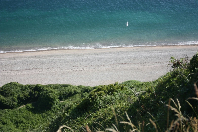 an ocean beach is seen with a lone person swimming