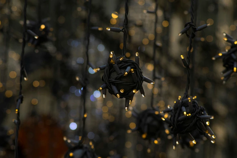 close up s of string and star lights