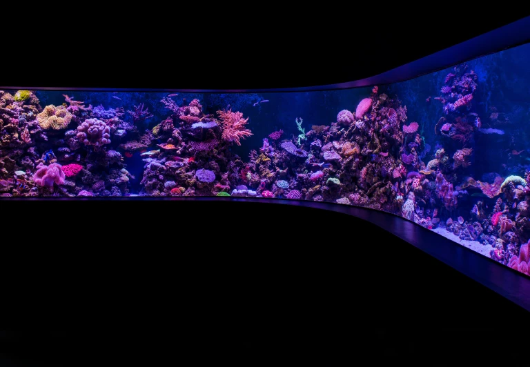 a very large aquarium with many colorful fish inside of it